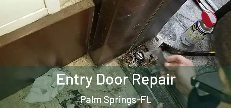  Entry Door Repair Palm Springs-FL
