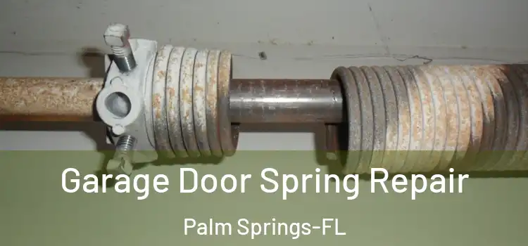 Garage Door Spring Repair Palm Springs-FL