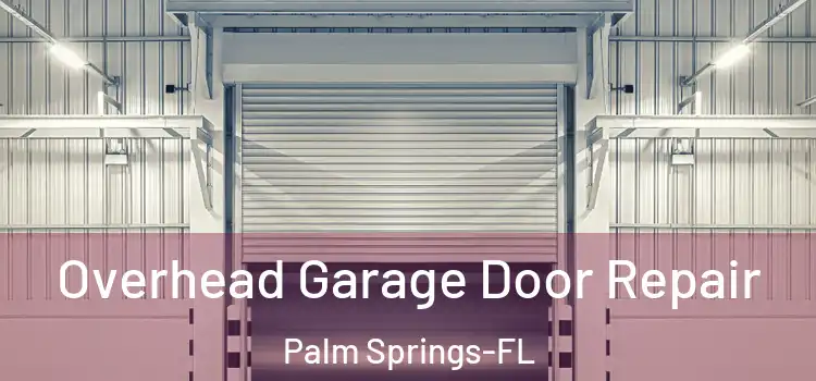 Overhead Garage Door Repair Palm Springs-FL