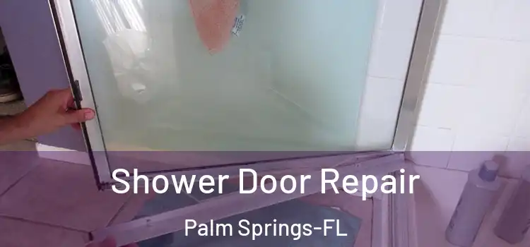  Shower Door Repair Palm Springs-FL